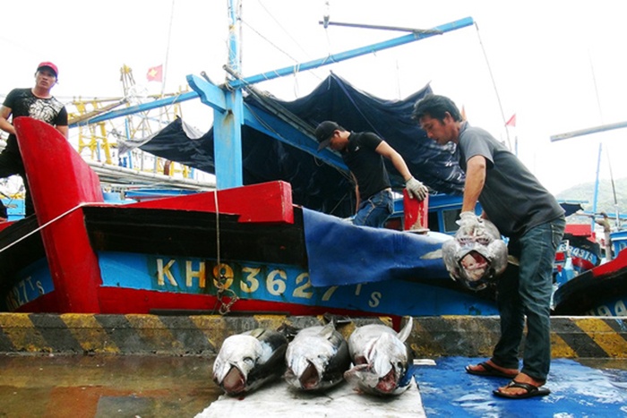 Kể từ tháng 10/2017 đến nay, sau gần 2 năm, nước ta bị Liên minh châu Âu (EU) áp dụng thẻ vàng cảnh cáo đối với thủy sản đánh bắt trên biển, chúng ta vẫn chưa thực hiện đầy đủ 4 khuyến nghị của EU. Không những thế, việc kiểm soát hoạt động ngoài khơi của tàu cá, nhất là việc truy xuất nguồn gốc thủy sản vẫn còn nhiều dấu hiệu bất cập, dẫn tới nguy cơ báo động đỏ trong tháo gỡ thẻ vàng thời gian tới.